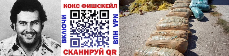 где найти наркотики  OMG вход  COCAIN Fish Scale  Волхов 