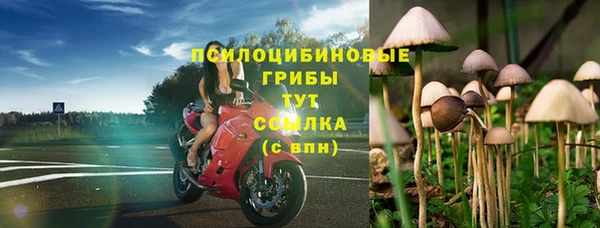 дмт Аркадак