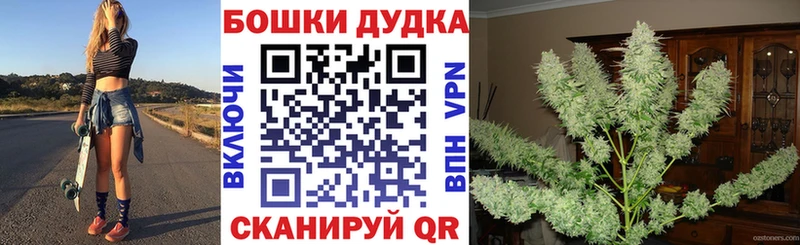 где можно купить наркотик  Волхов  Шишки марихуана тримм 